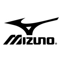 Mizuno